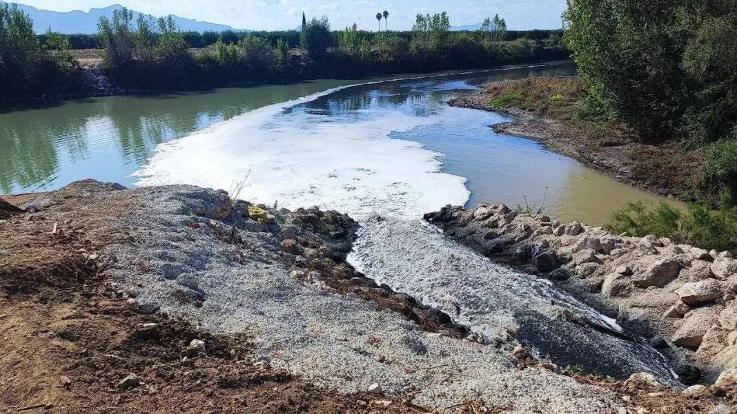 Ceyhan Nehri’nde Balıklar Telef Oldu: Mahalle Kokuyor, Nehir Ölüyor! 5